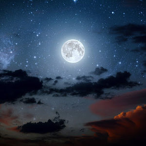 Meet your Posher, Emmalynne